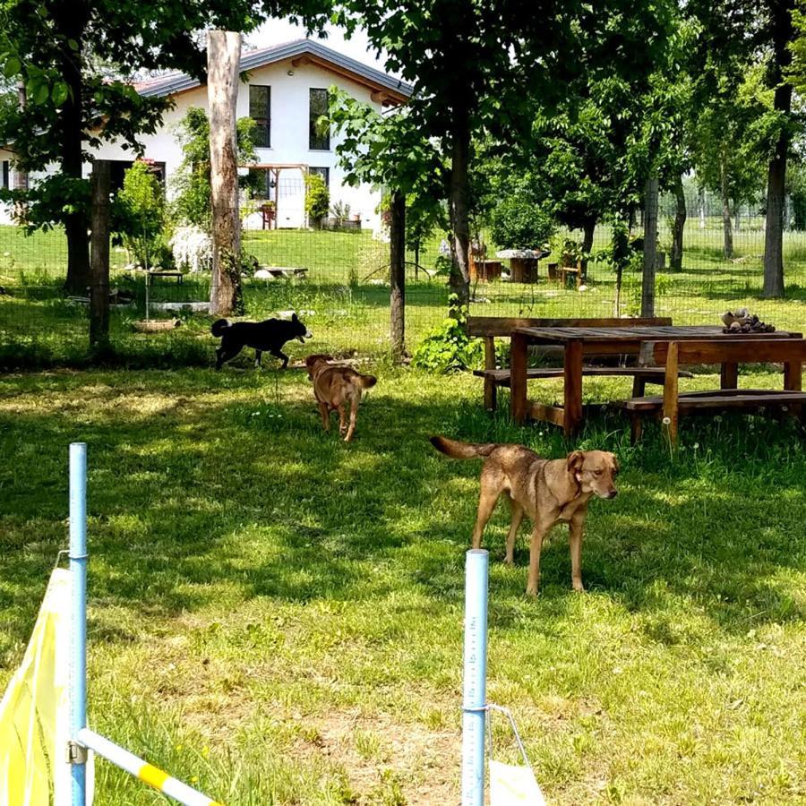 B&B Beleli Daramba Κούνεο Εξωτερικό φωτογραφία